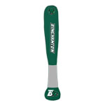 Binghamton University
